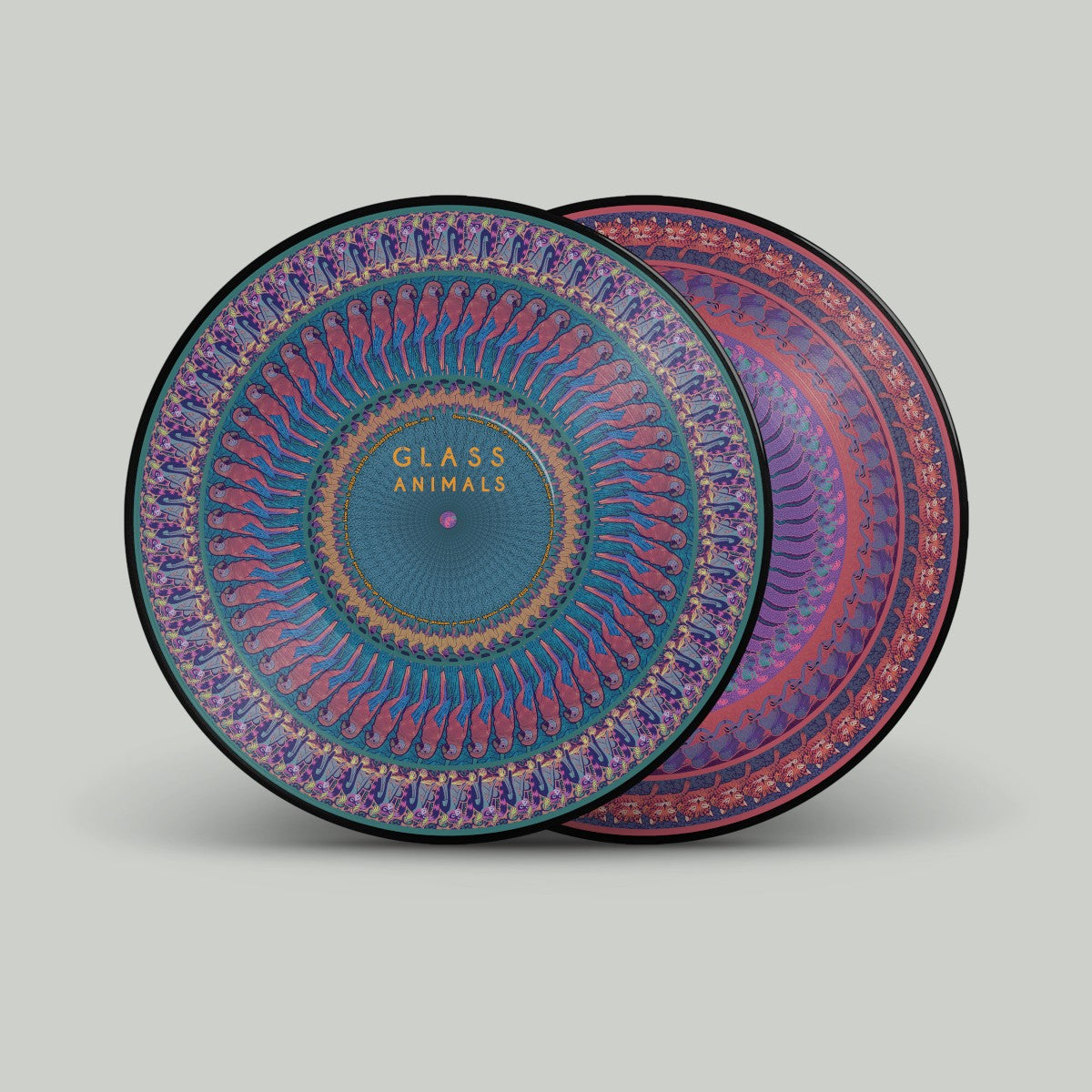 Zaba - Glass Animals